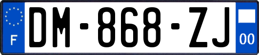 DM-868-ZJ