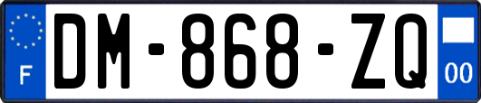 DM-868-ZQ