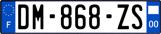 DM-868-ZS