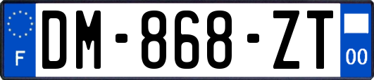 DM-868-ZT