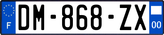 DM-868-ZX