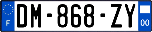 DM-868-ZY