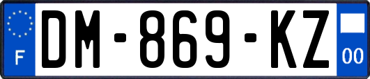 DM-869-KZ