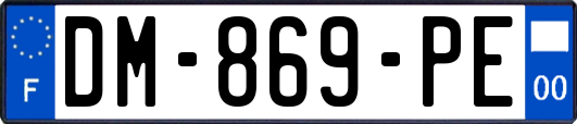 DM-869-PE