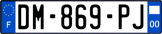 DM-869-PJ
