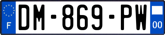 DM-869-PW