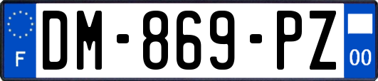 DM-869-PZ