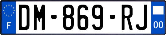 DM-869-RJ