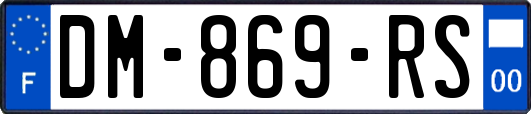 DM-869-RS