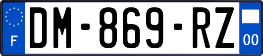 DM-869-RZ
