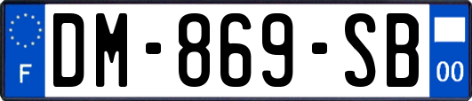 DM-869-SB