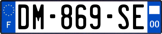 DM-869-SE