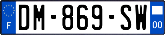 DM-869-SW