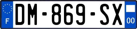 DM-869-SX
