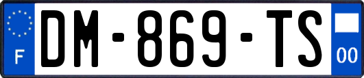 DM-869-TS