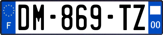 DM-869-TZ