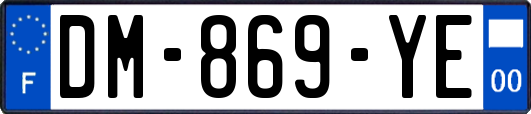 DM-869-YE