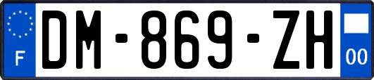 DM-869-ZH