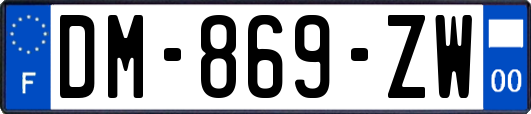 DM-869-ZW