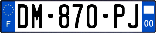 DM-870-PJ
