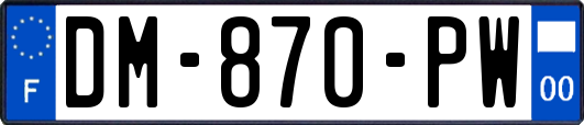 DM-870-PW