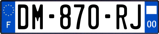 DM-870-RJ