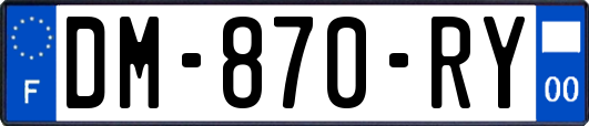 DM-870-RY