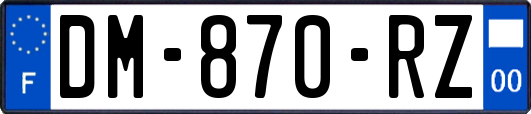 DM-870-RZ