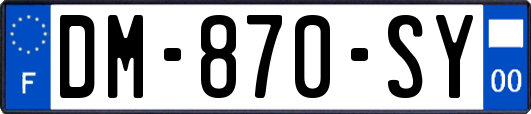 DM-870-SY