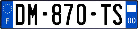 DM-870-TS