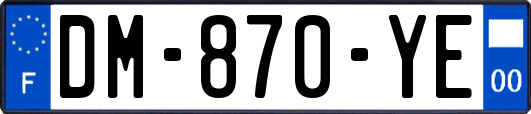 DM-870-YE