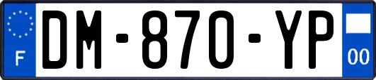 DM-870-YP