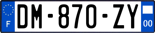 DM-870-ZY