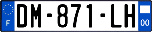 DM-871-LH