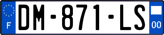 DM-871-LS
