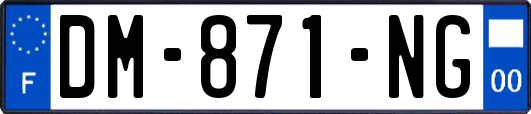 DM-871-NG