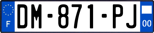 DM-871-PJ