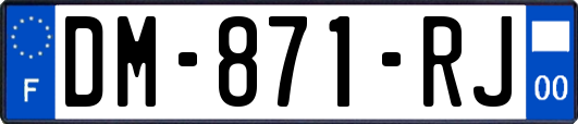 DM-871-RJ