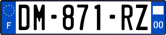 DM-871-RZ