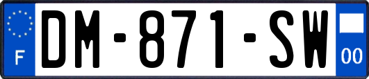 DM-871-SW