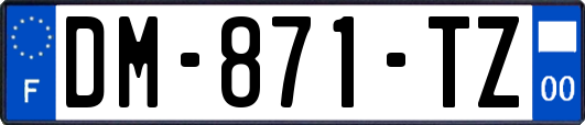 DM-871-TZ