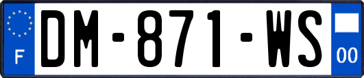 DM-871-WS