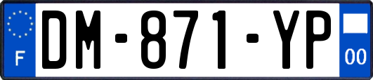 DM-871-YP