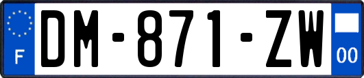 DM-871-ZW