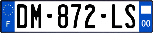 DM-872-LS