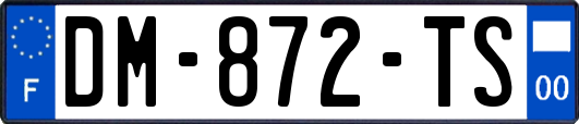 DM-872-TS