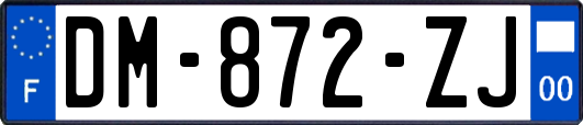 DM-872-ZJ