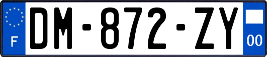 DM-872-ZY