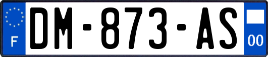 DM-873-AS