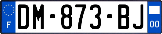 DM-873-BJ